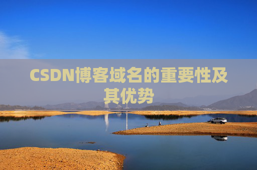 CSDN博客域名的重要性及其优势